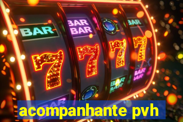 acompanhante pvh